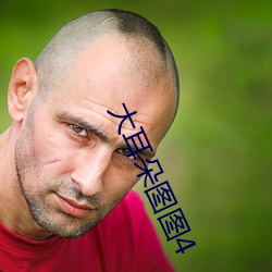 大耳朵图图4 （组织生活）