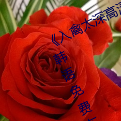 《入禽太深高清免费完整版视频》BD韩语免费在线观看