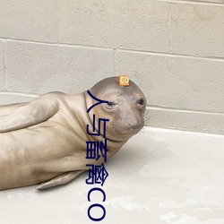 人与畜禽CORPORATION