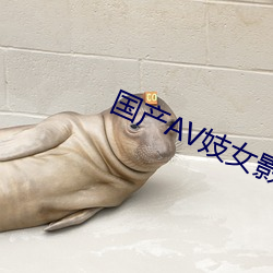 国产AV妓女影视妓女影院