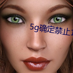 5g确定禁止18进入