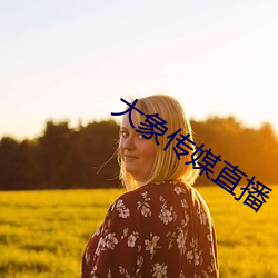 大象传媒直播