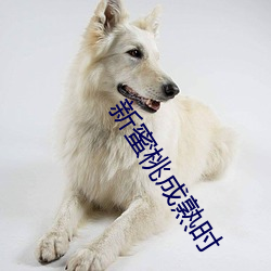 尊龙凯时-人生就是搏!