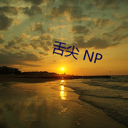 舌尖 NP