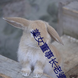 ezweb易利娱乐平台(唯一)官网登录入口