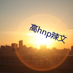 高hnp辣(辣)文(文)