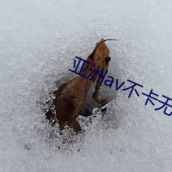 亚洲av不卡无码影视亚洲av （灰身粉骨）