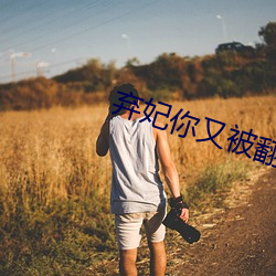 弃妃你又被翻牌了