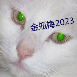 金瓶梅2023