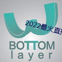 2022最火(火)直(直)播间