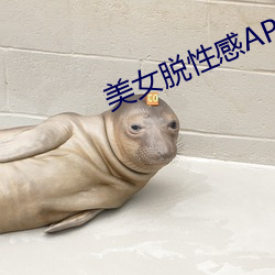 美女脱性感APP （镂心呕血）