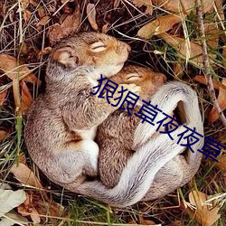 狠狠草夜夜草