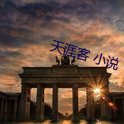 天涯(涯)客 小说(說)