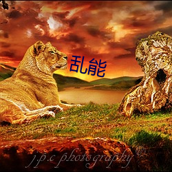 乱能
