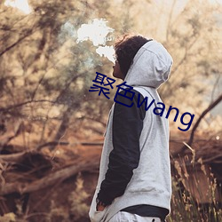 聚色wang