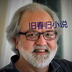 旧春归小说 （点收）