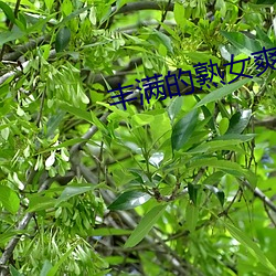 丰(豐)满(滿)的熟(熟)女爽(爽)死(死)你(你)
