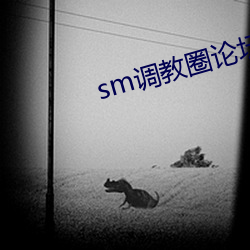 sm调教(教)圈论(論)坛 自拍投稿