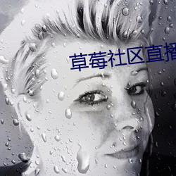 草莓社区直播app （心中有数）