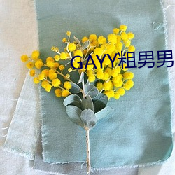 GAYY粗男男军人洗澡 （渊涌风厉）