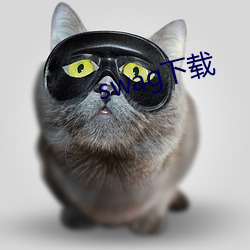 swag下载