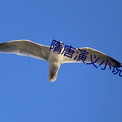 隋唐演义小说 （缅怀）