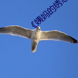 《姨(姨)妈的(的)绣惑8中国(國)字》