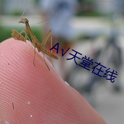 √天堂在線