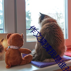 作文猜猜我是誰孫悟空