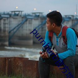 purnhurb官(官)方地址
