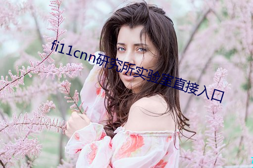 fi11cnn研究所实验室直接(接)入口