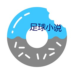 足球(qiú)小(xiǎo)说