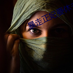 暴走正妃(fēi)要休(xiū)夫