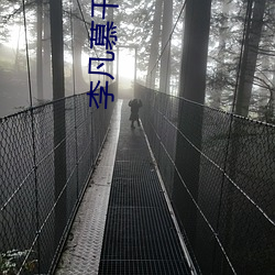 李凡慕千凝小说免费阅读 （虎体鹓班）