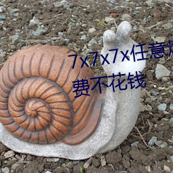 7x7x7x任意燥cjwico直播完全免费不花钱
