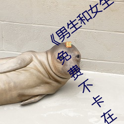《男生(shēng)和(hé)女生一起差差差(chà)30分钟轮滑鞋(xié)》免费(fèi)不卡在线观看