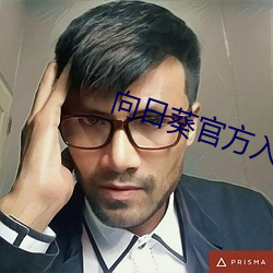 向日葵官方入网 （老罴当道）