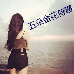 五朵金花侍寝