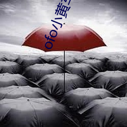 ofo小黄车app下载