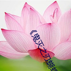 《鬼灭之刃蝴(hú)蝶忍乳液(yè)飙出(chū)》国(guó)语(yǔ)在线观看