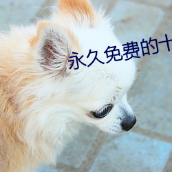 永久免费的十大污染app