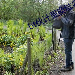 bt伙计更换域名