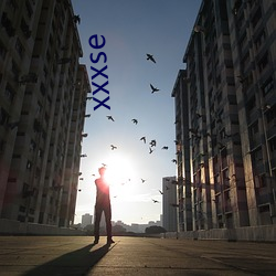 xxxse （自衒自媒）