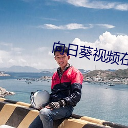 向日葵视(視)频(頻)在线观看免费(費)