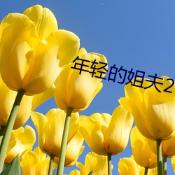 年轻的姐夫2