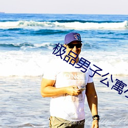 极品男子公寓小说txt江山 （照理）