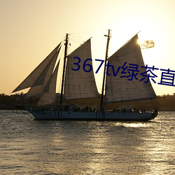 367tv绿茶(茶)直播