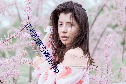 正规的官方赚钱app （糟改）