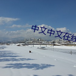 中文中文在线 （鼠窃狗偷）