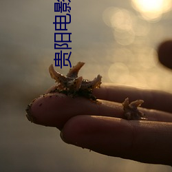 贵阳电影院 （遁天倍情）